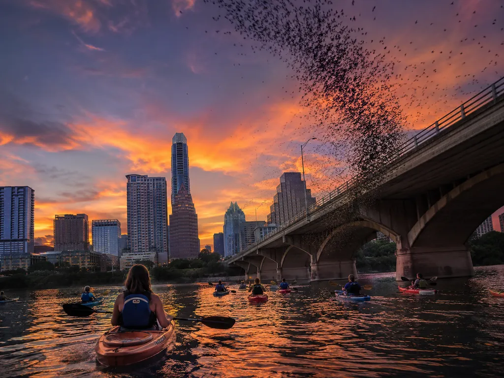 Austin: Sunset Bat Watching Kayak Tour
